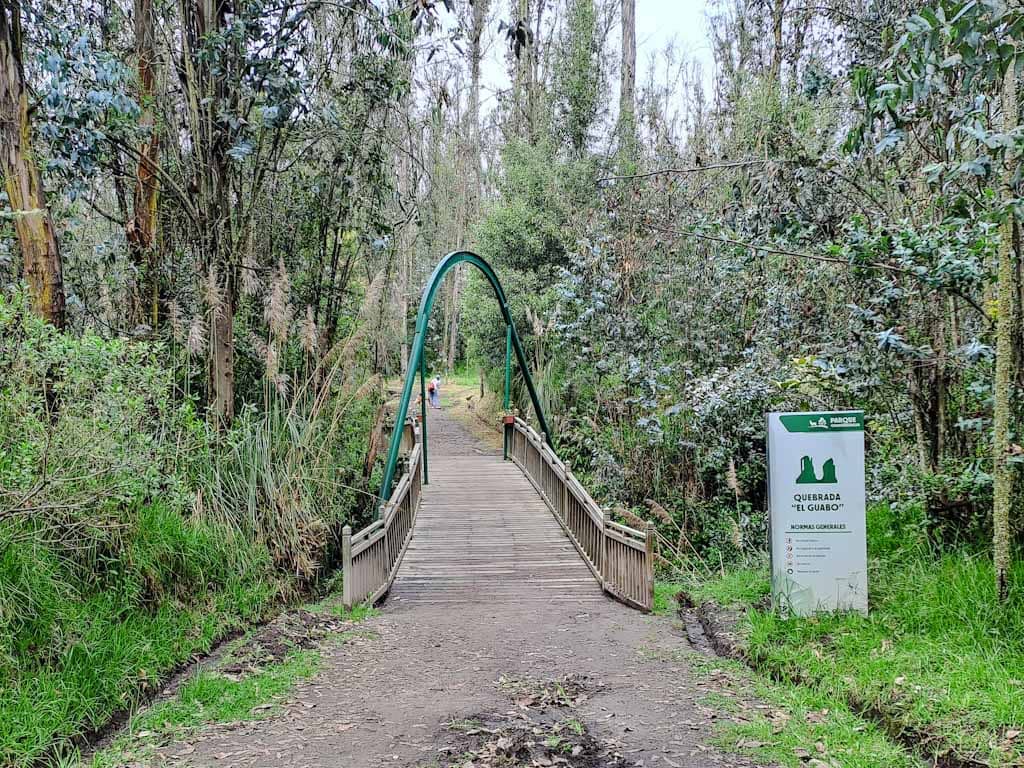 Eucalyptus Forest Trails