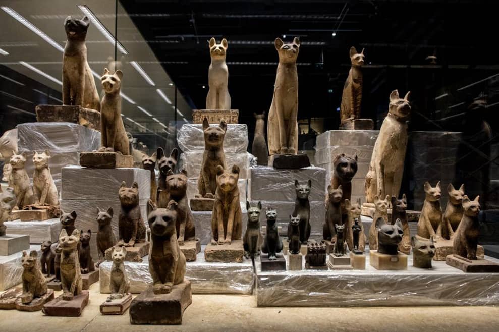 Unique Animal Hall