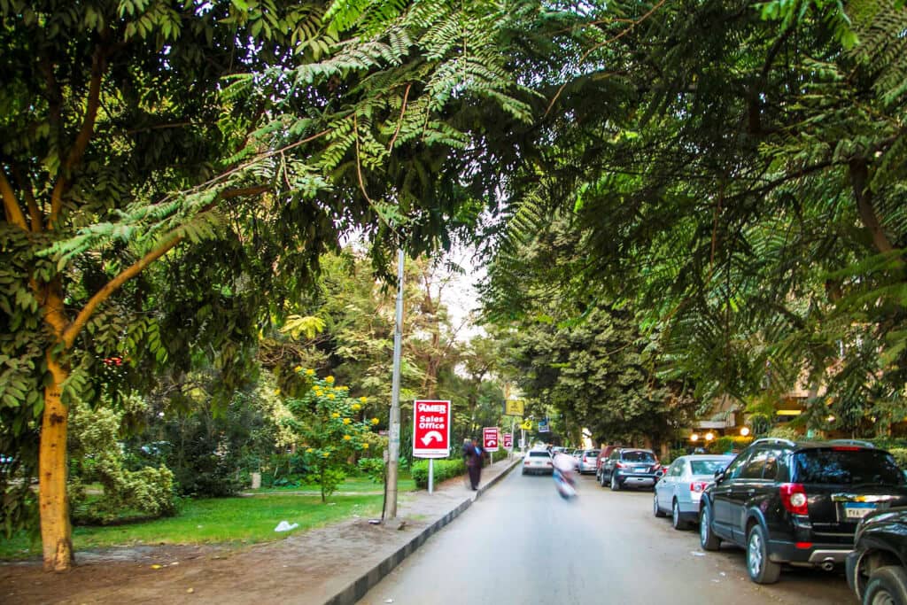 Maadi's Green Streets