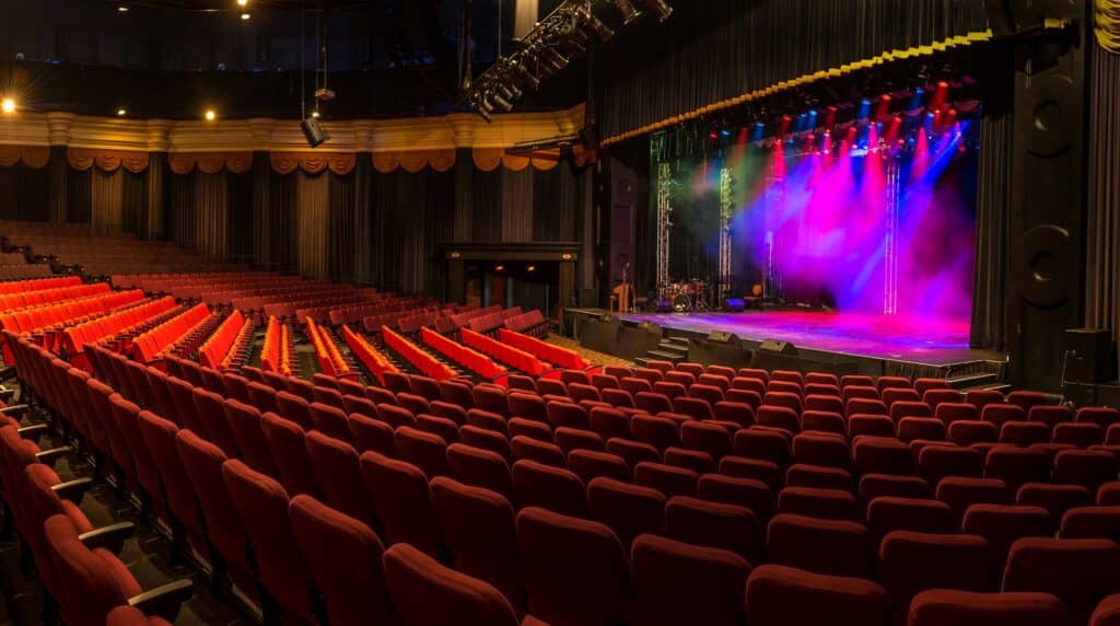 Live Entertainment & Shows