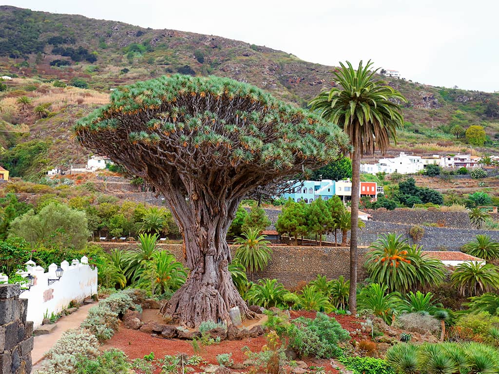 Botanical Gardens