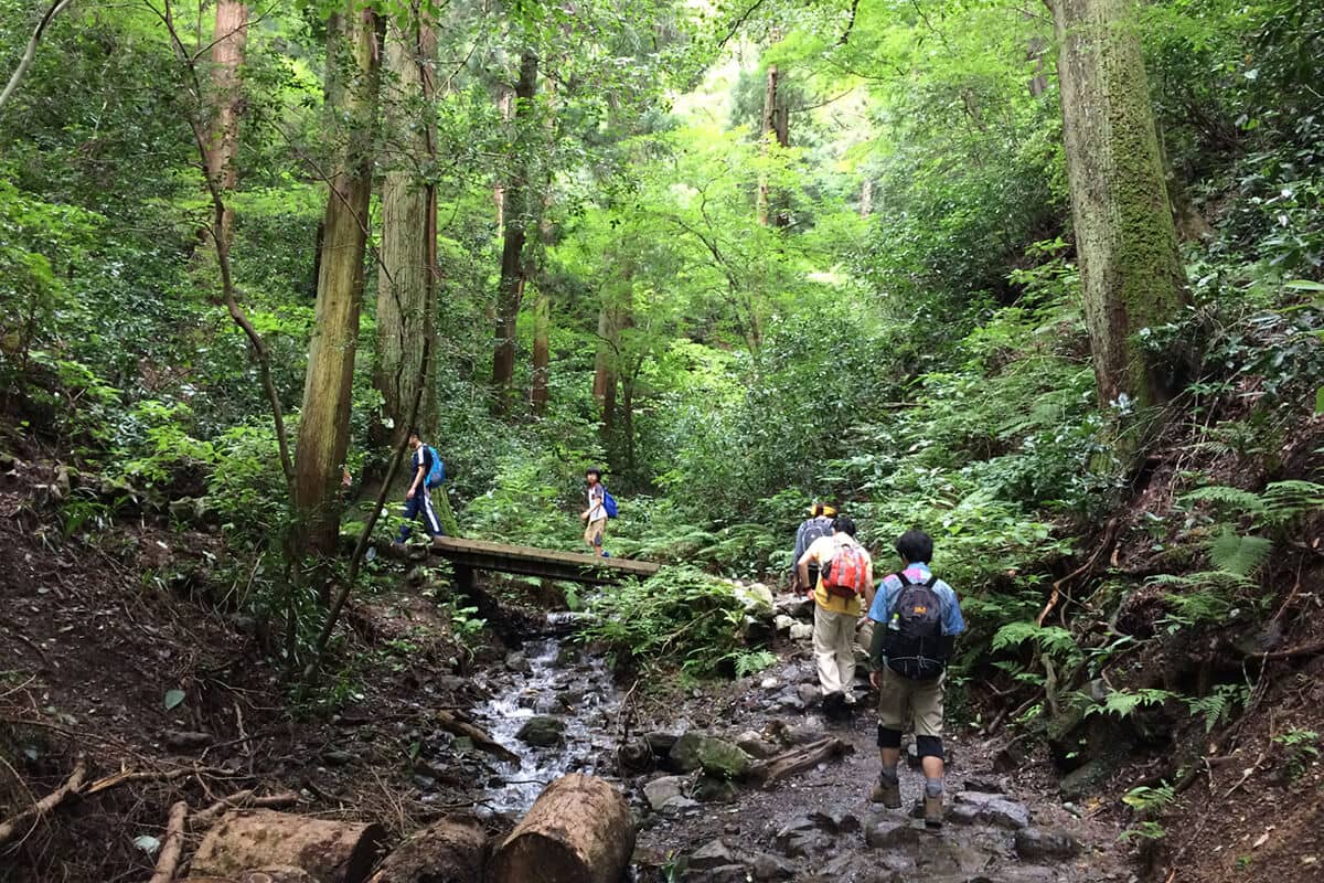 Hiking Trails