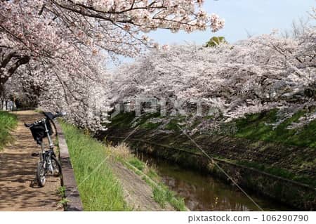 Riverside Cycling Route