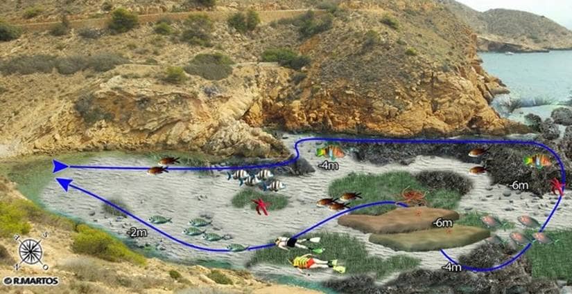 Snorkeling Haven