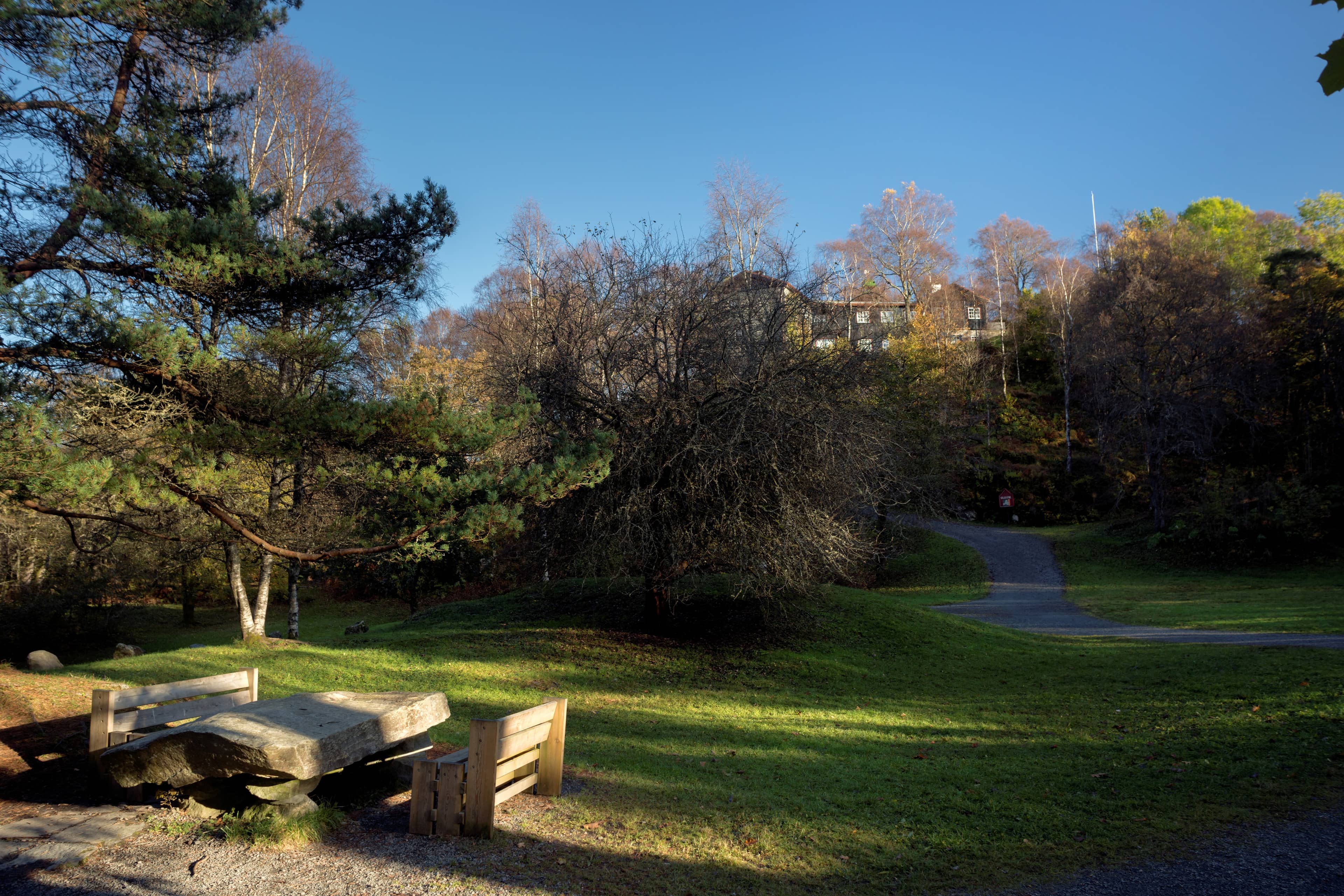 Enchanting Nature Walks