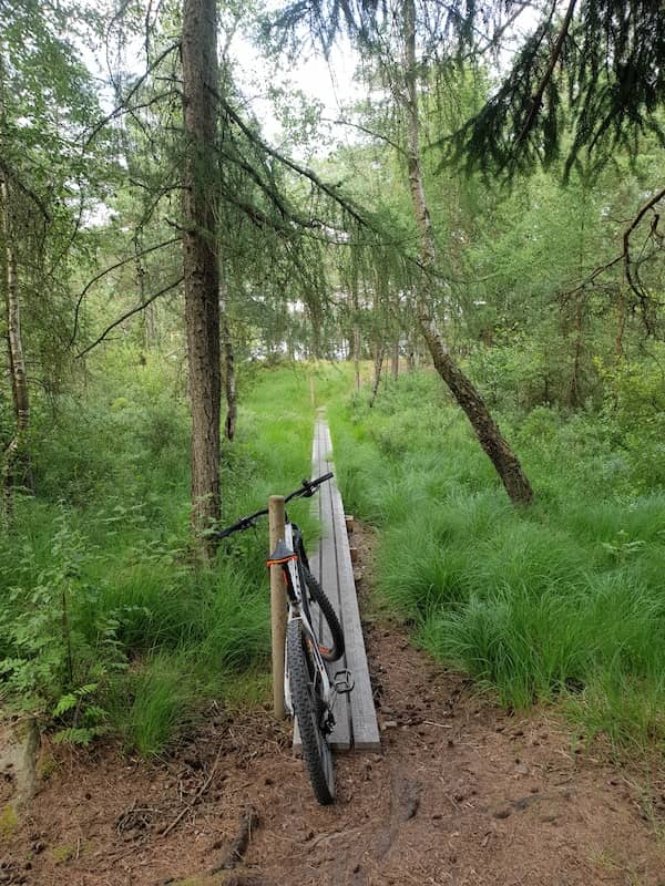 Mountain Biking Adventures
