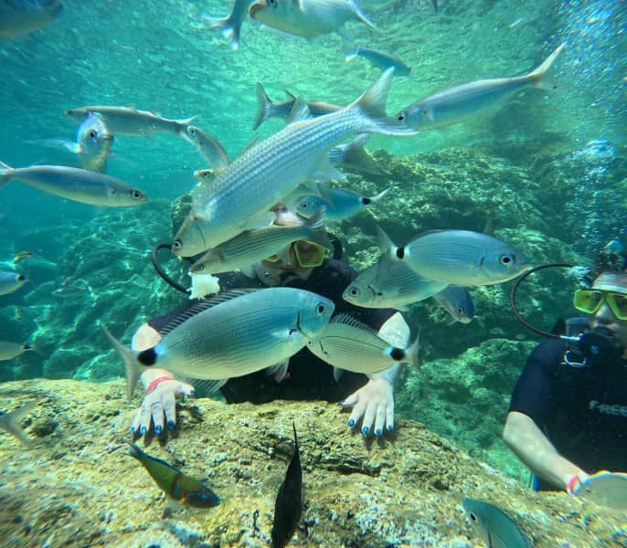 Abundant Marine Life
