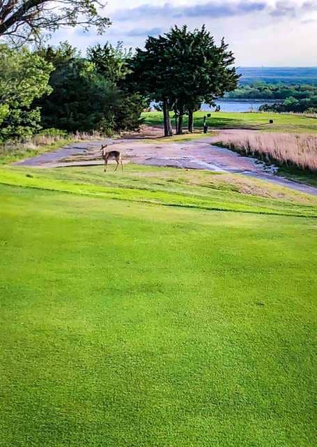 Golf Course
