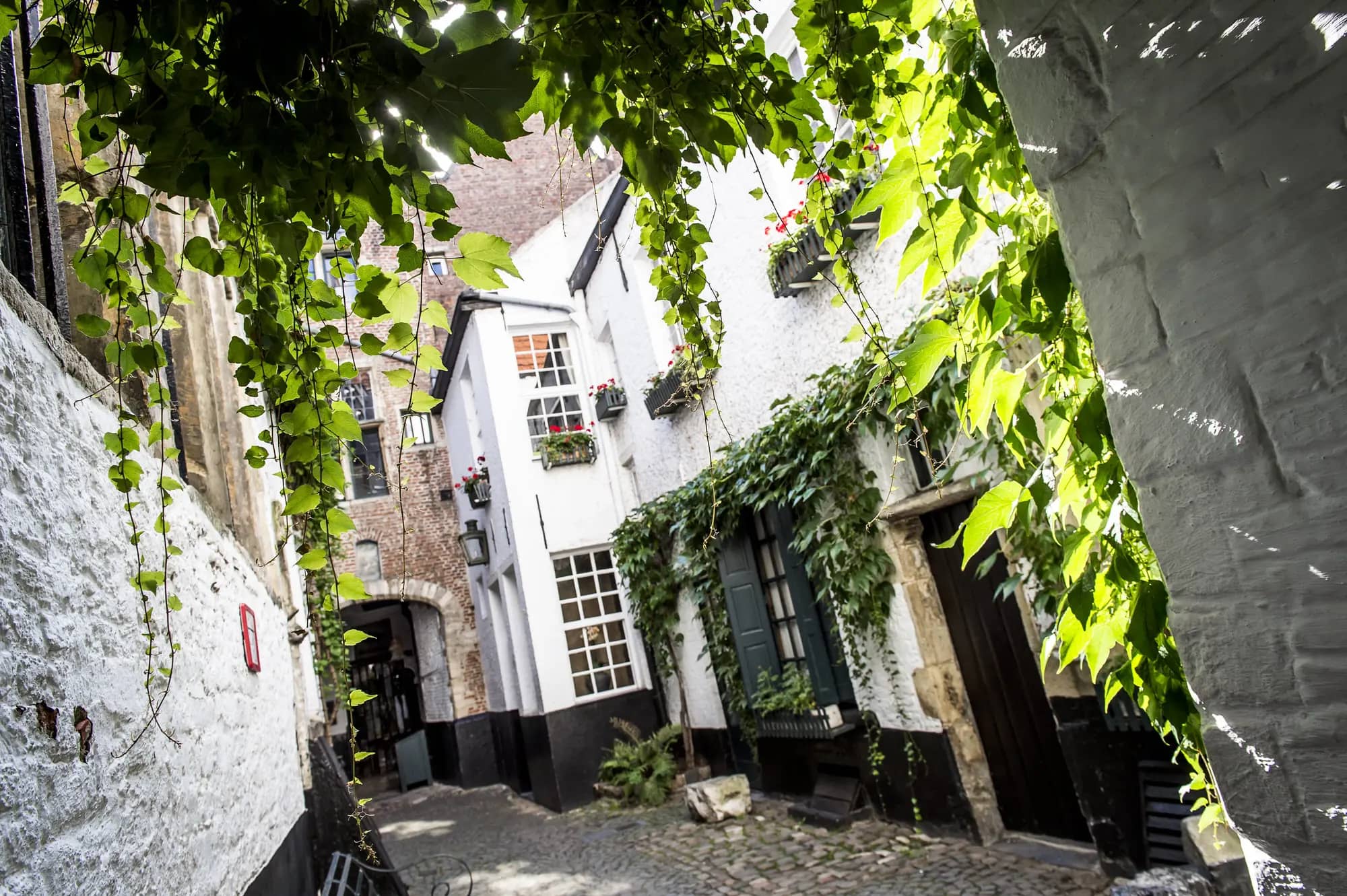 Charming Alleyways