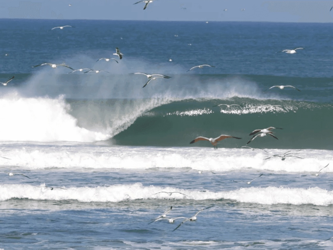 Surfing the Atlantic Waves