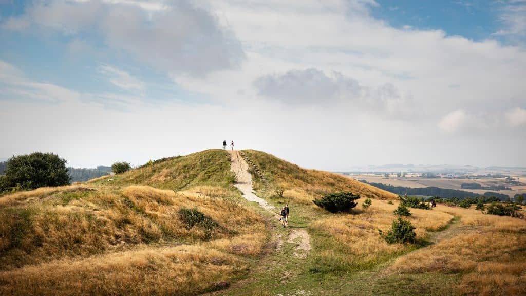 Mols Bjerge Hills