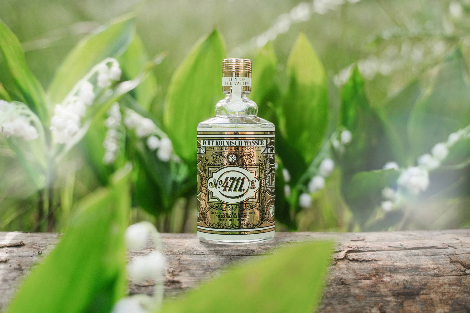 Citric Atelier