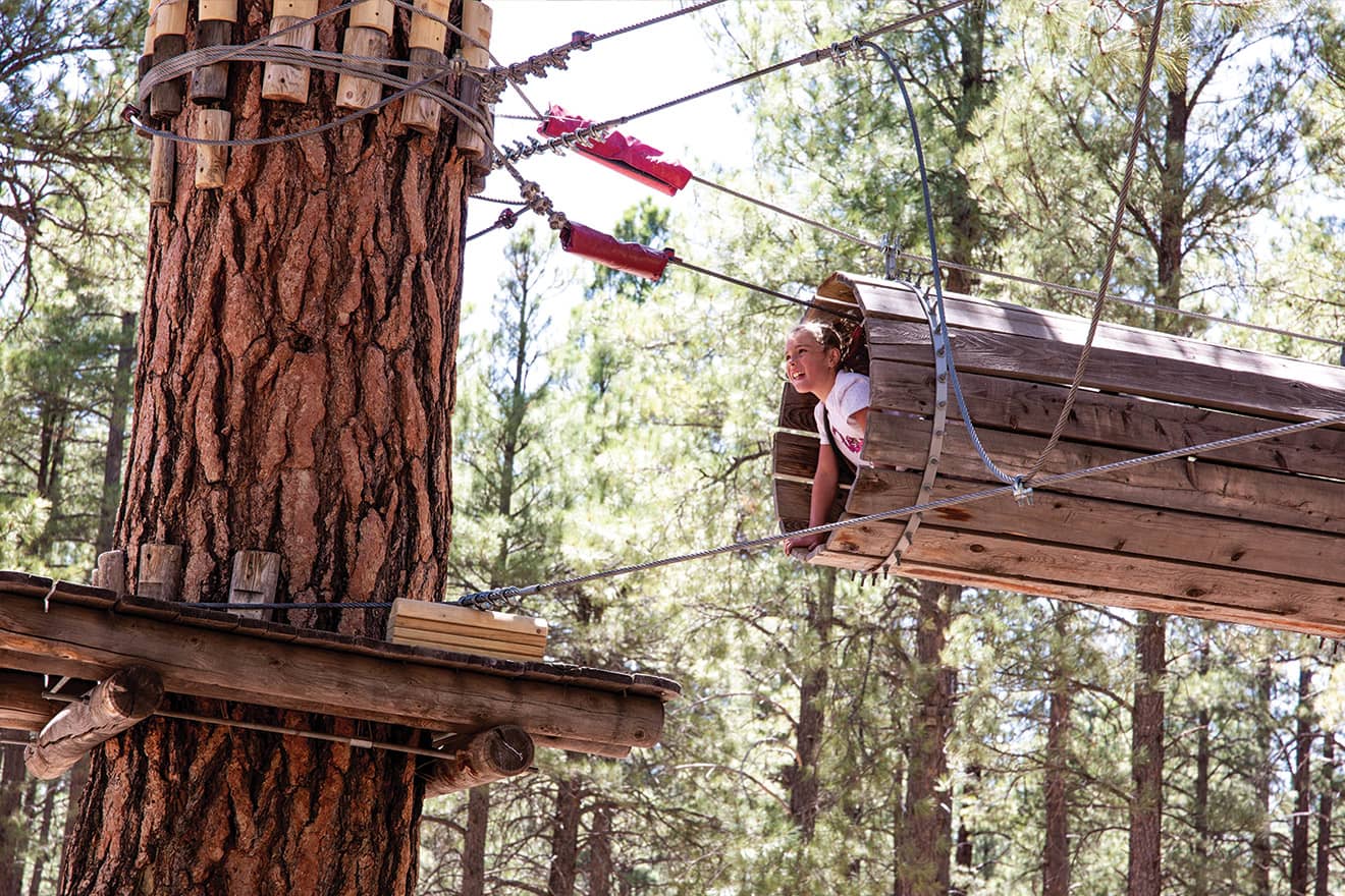 Kids Adventure Course