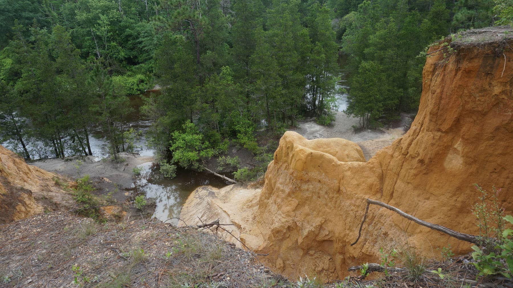 Juniper Creek Trail