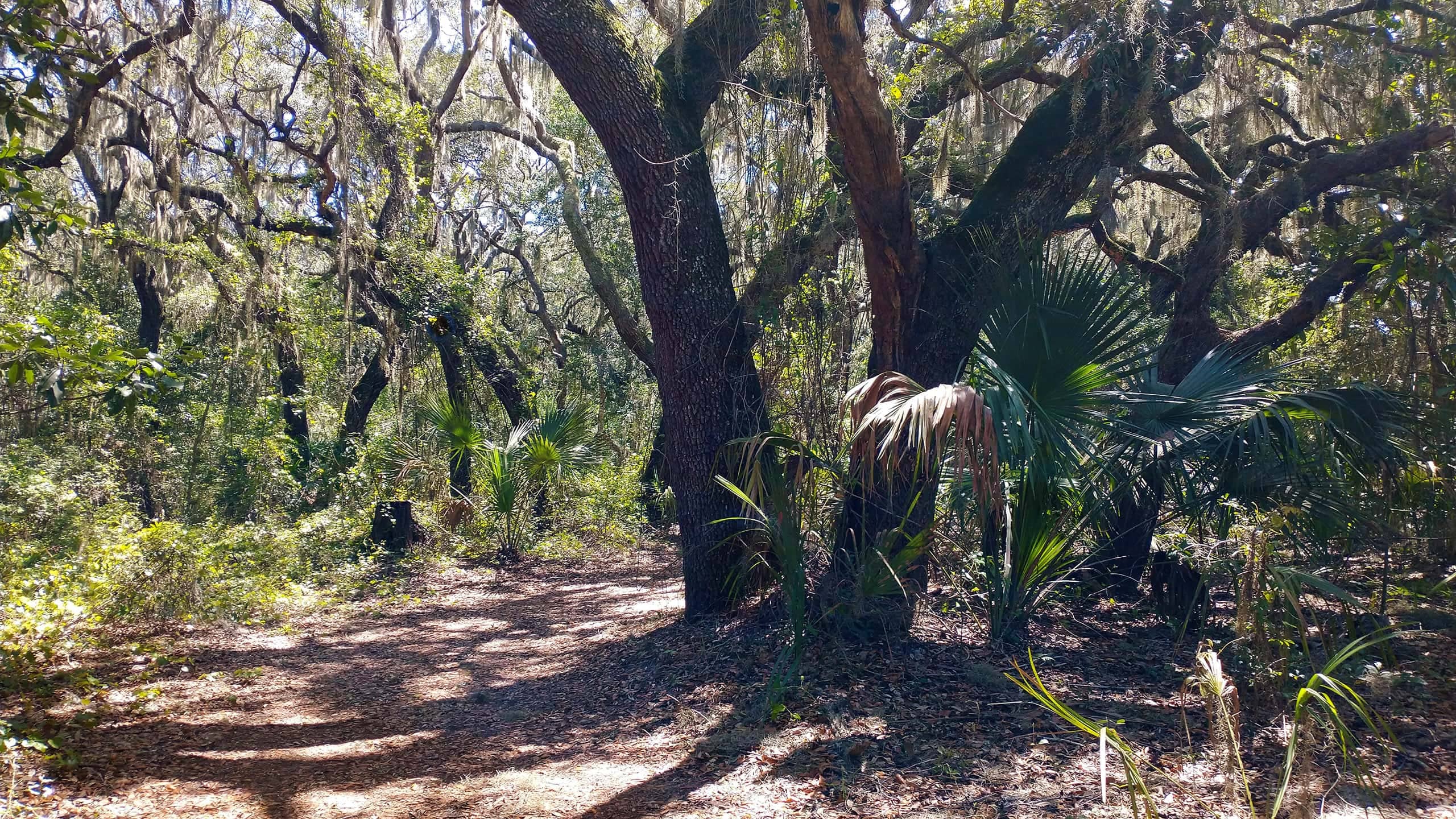 Fairway Loop Trail