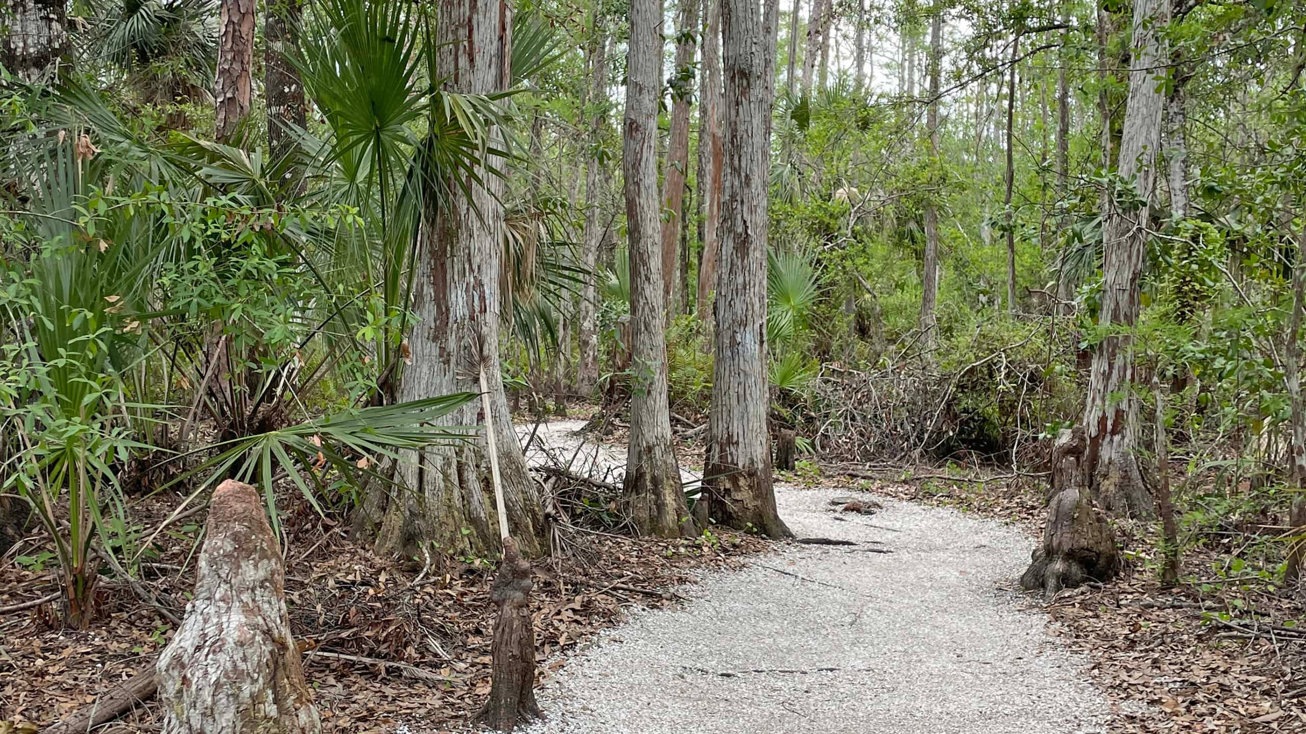 Nature Trails
