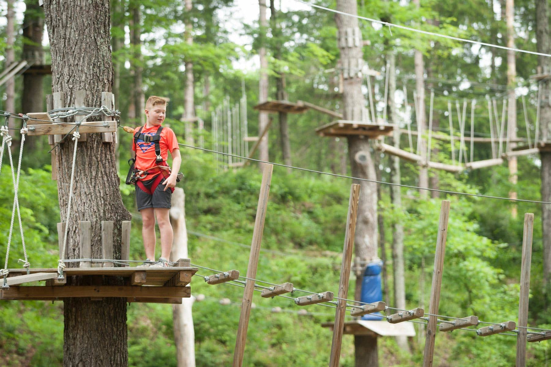 TreeRush Adventure