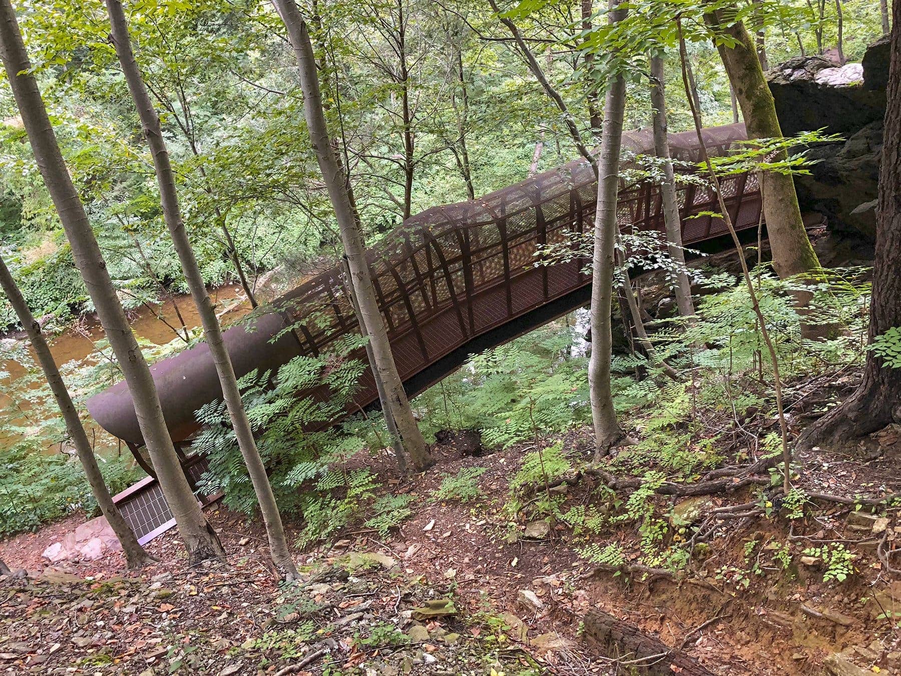 Fingerspan Bridge