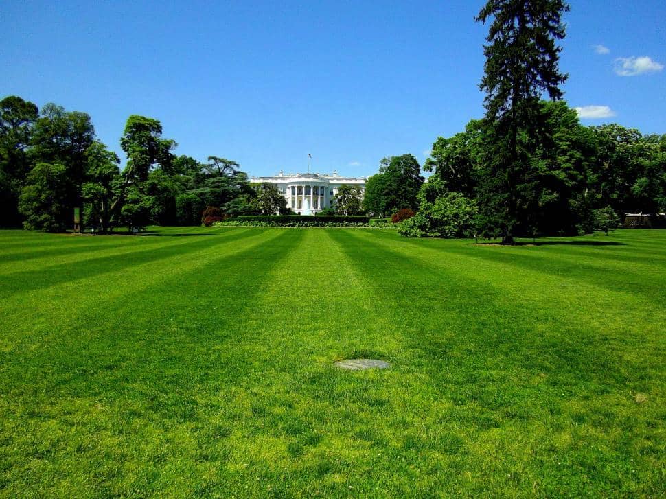 Tranquil Lawns