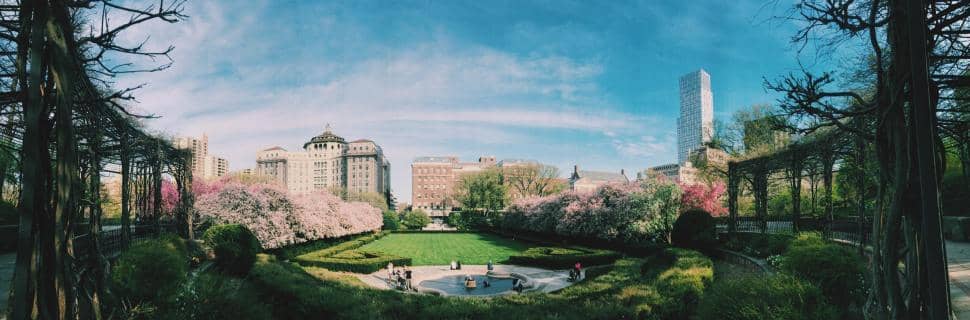 Green Oasis in the City