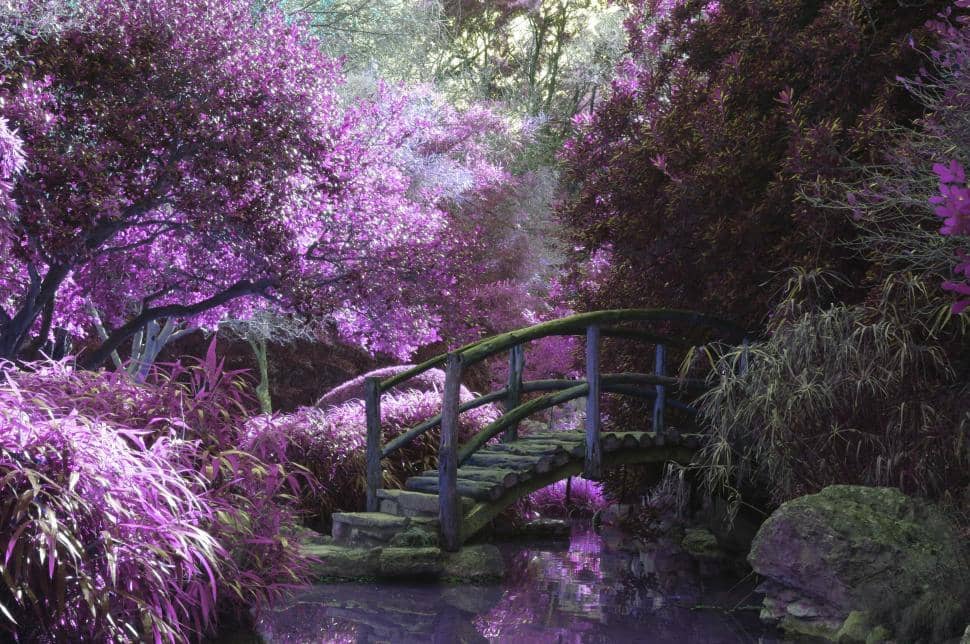 Tranquil Atmosphere