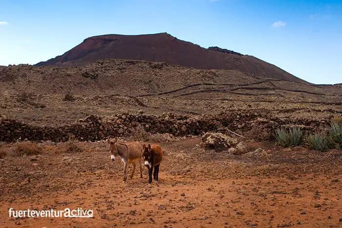 Volcanic Cones