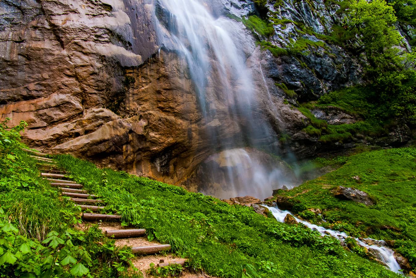 Scenic Forest Hike