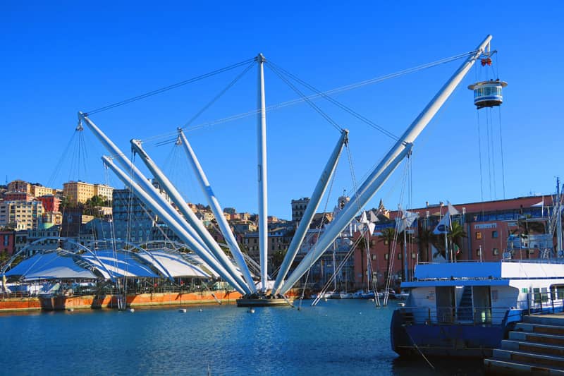 Crane-Inspired Design
