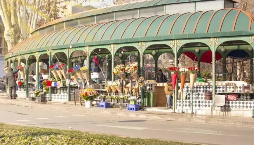 Cozy Foodie Haven