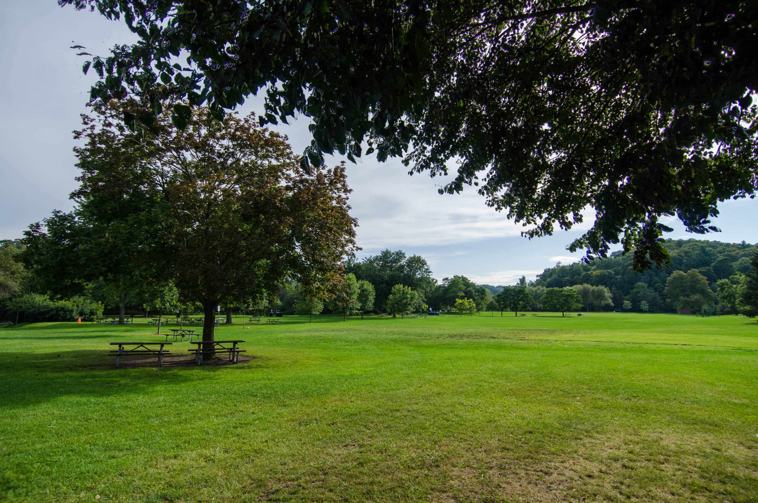 Community Garden