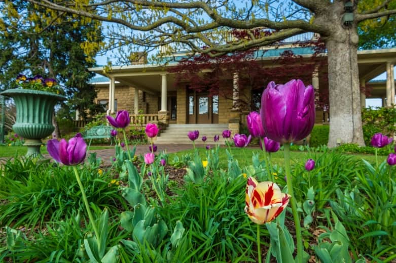 Themed Gardens and Outdoor Spaces