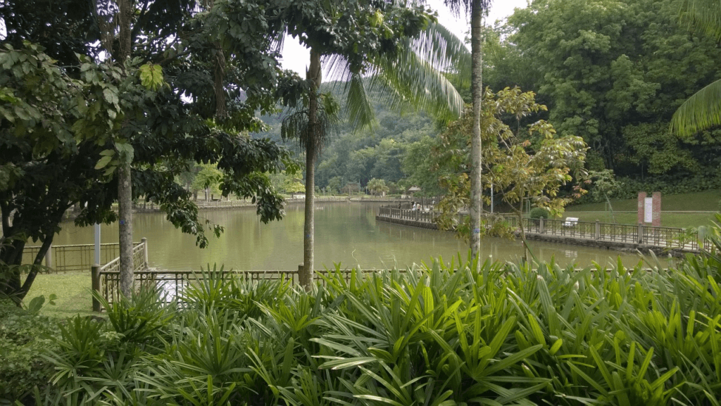 Peaceful Picnic Spot