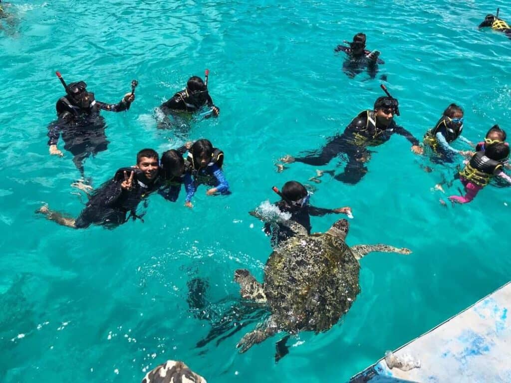 Snorkeling with Marine Life