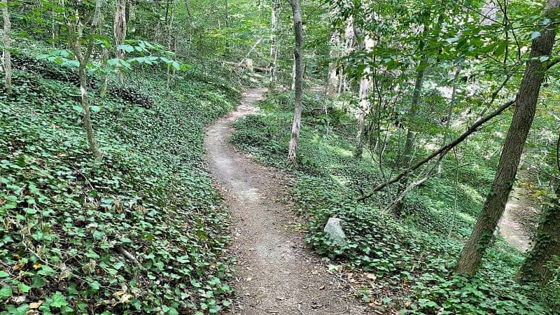 Nature Trails