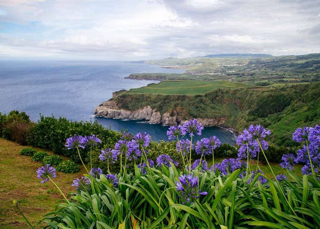 Abundant Flora