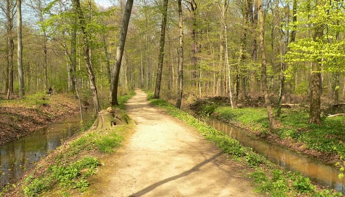 Eilenriede Forest Trails