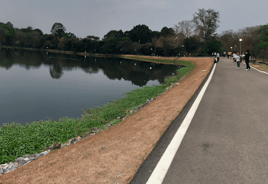 Morning Jogging Path