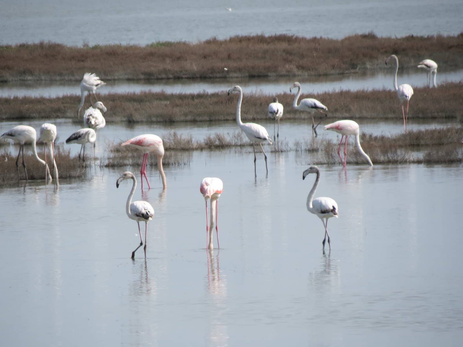 Birdwatching Paradise