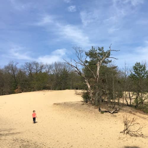 The Unique Sand Dune