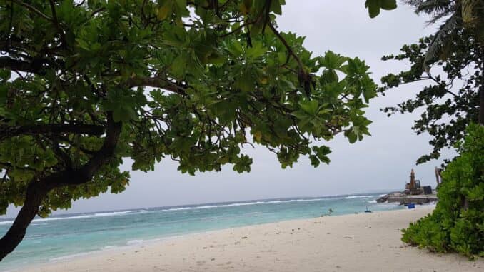 Peaceful Island Vibe