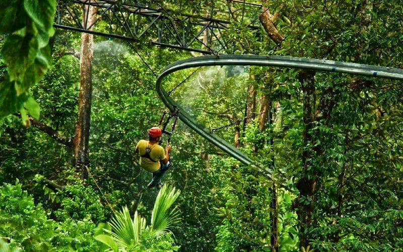 The Roller Zipline