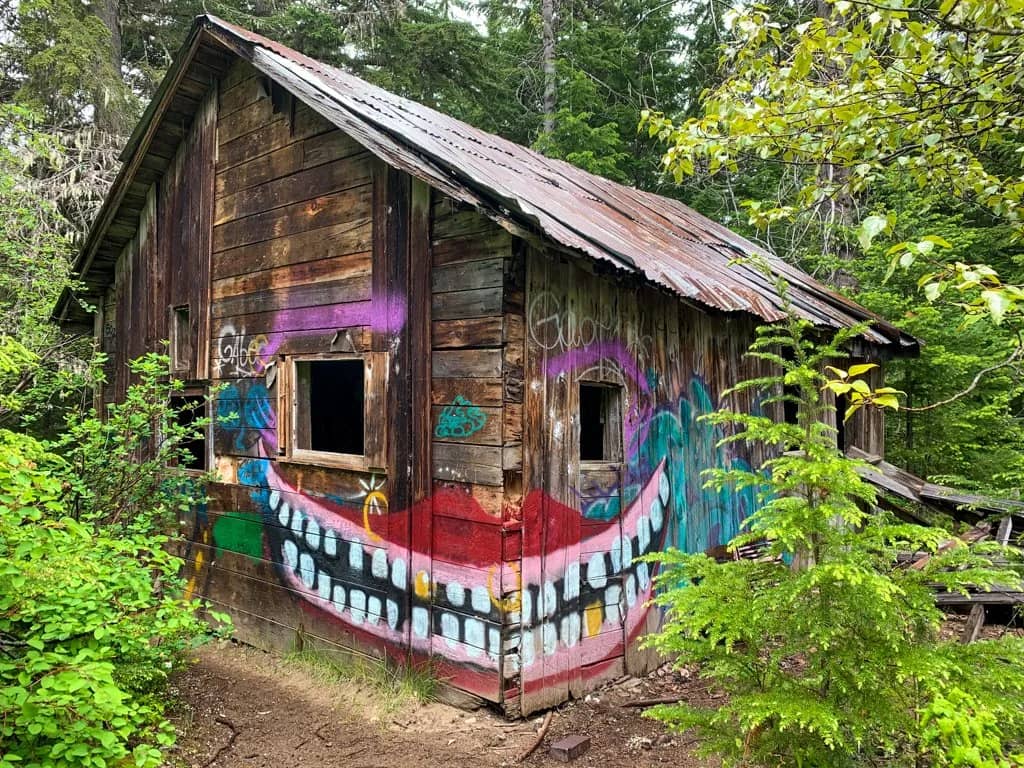 The Sole Standing House