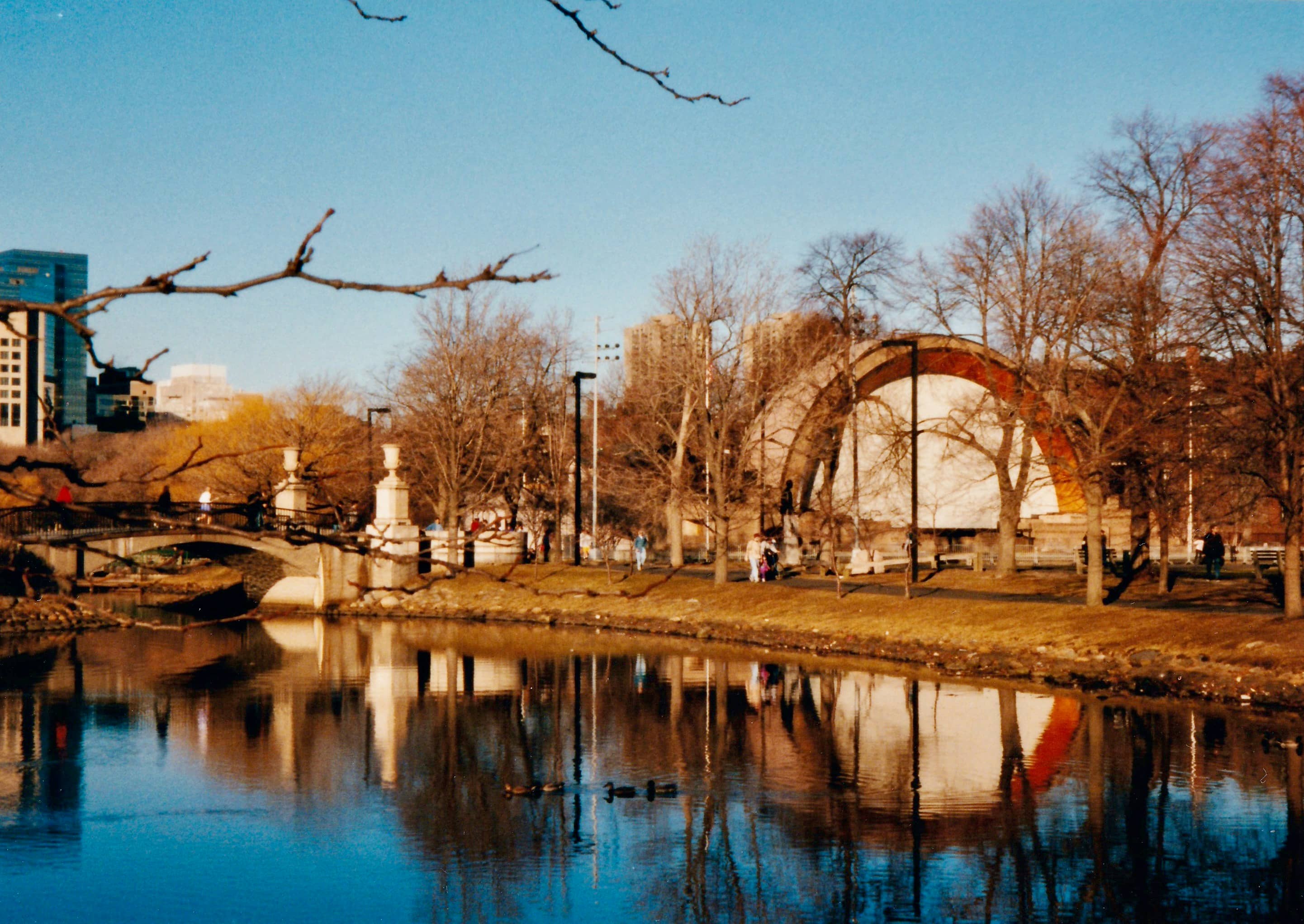 Reflection Pool