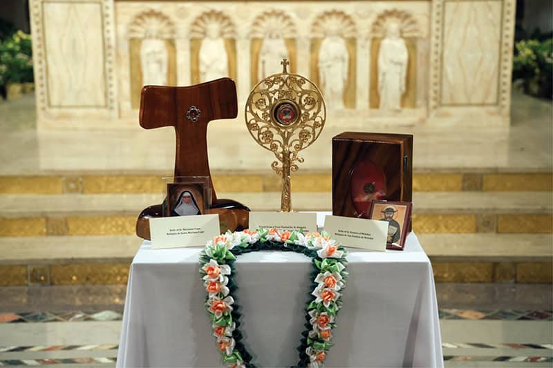 Relics of Saints Damien & Marianne
