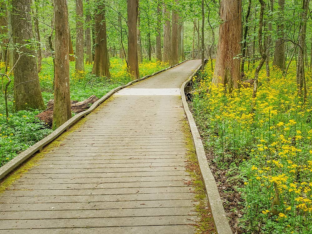 Arboretum Trails