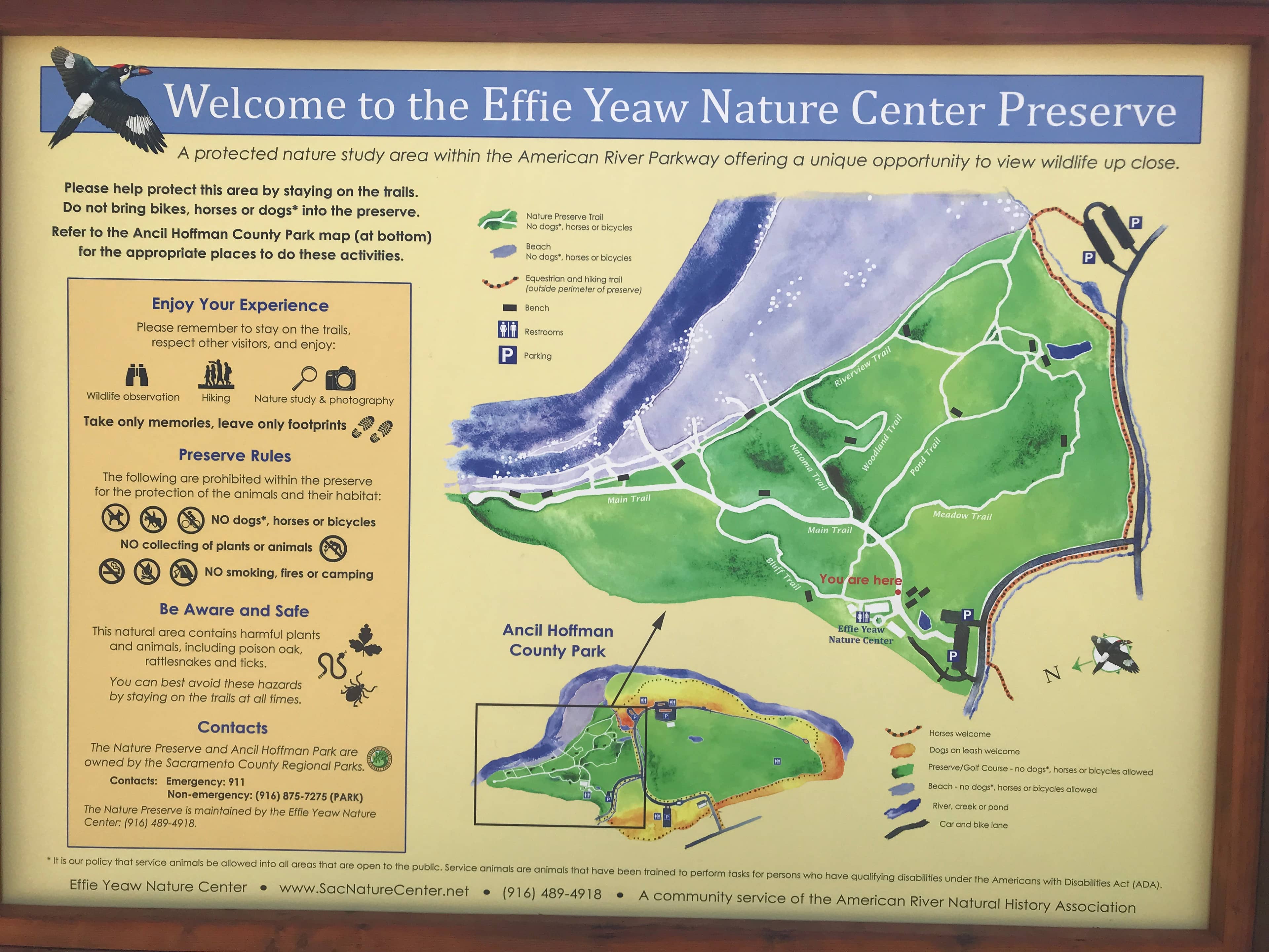 Meandering Nature Trails