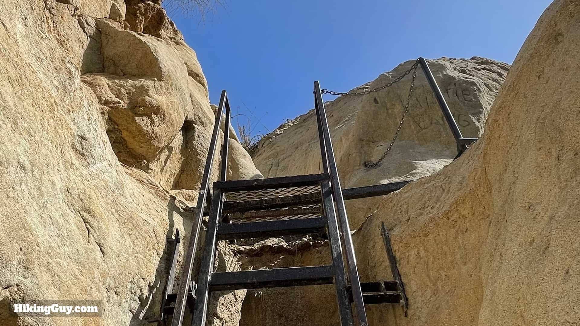 Ladder Ascent