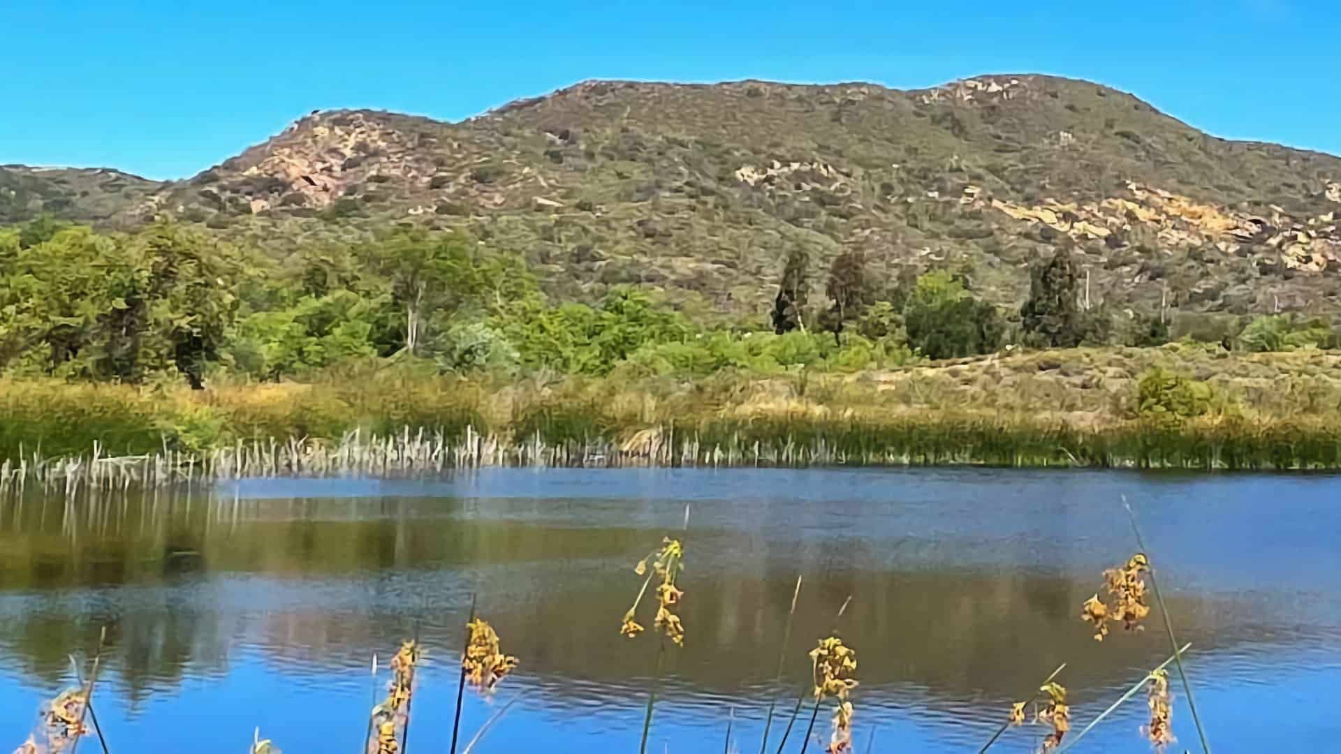 Barbara's Lake