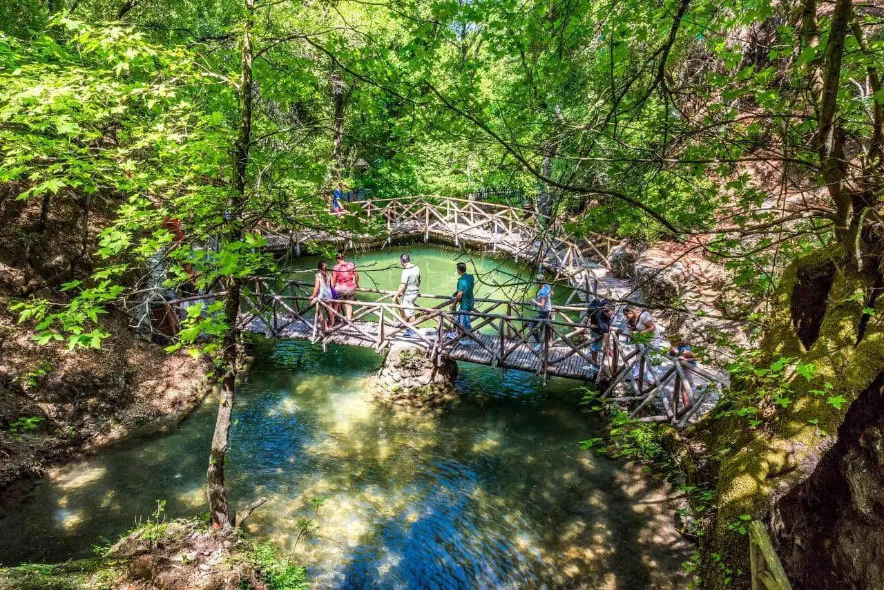 Shaded Walking Trails