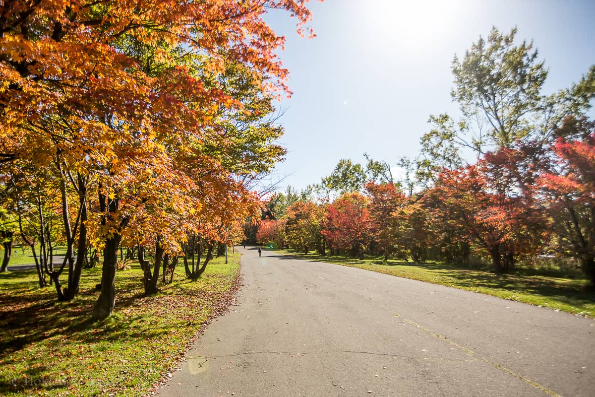 Scenic Walking Trails